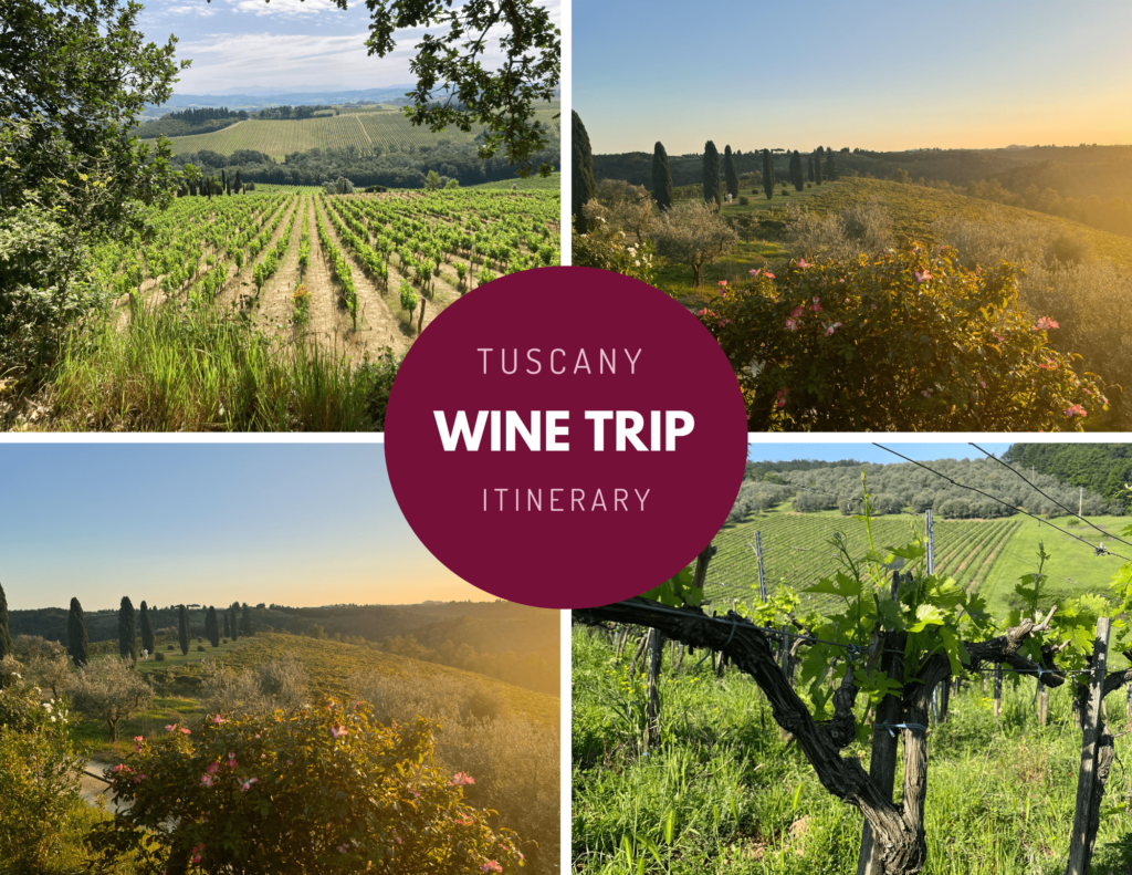 Wine Trip Tuscany