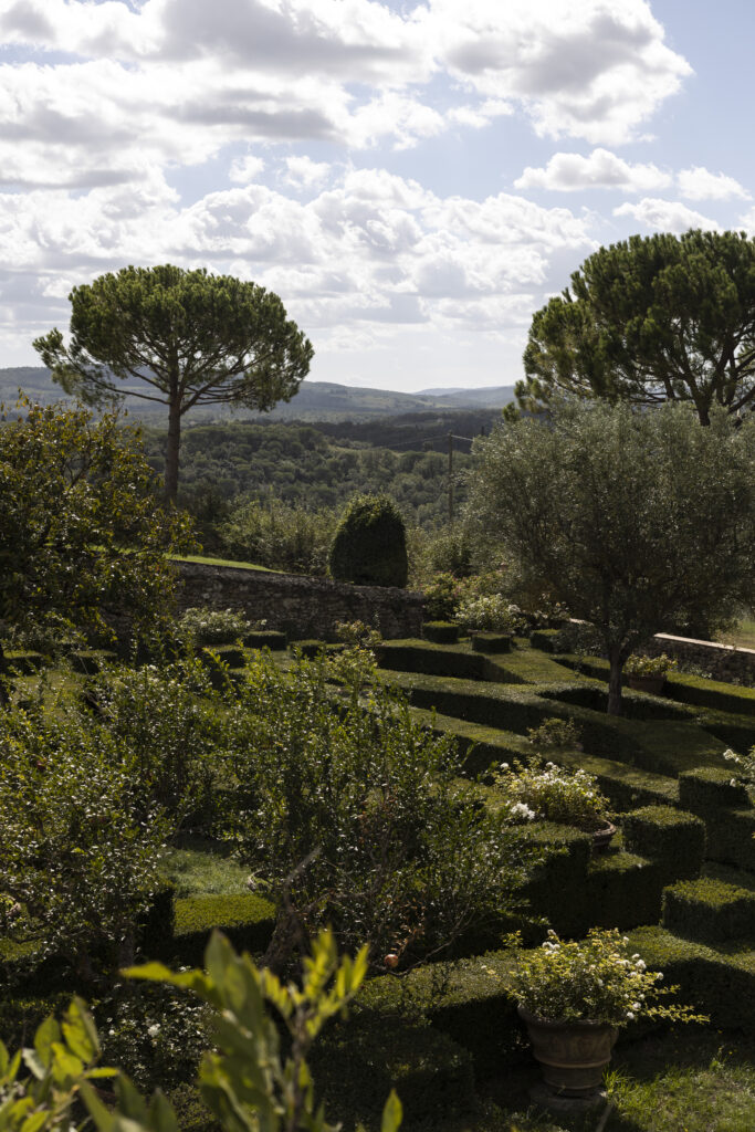 Vineyards in Chianti