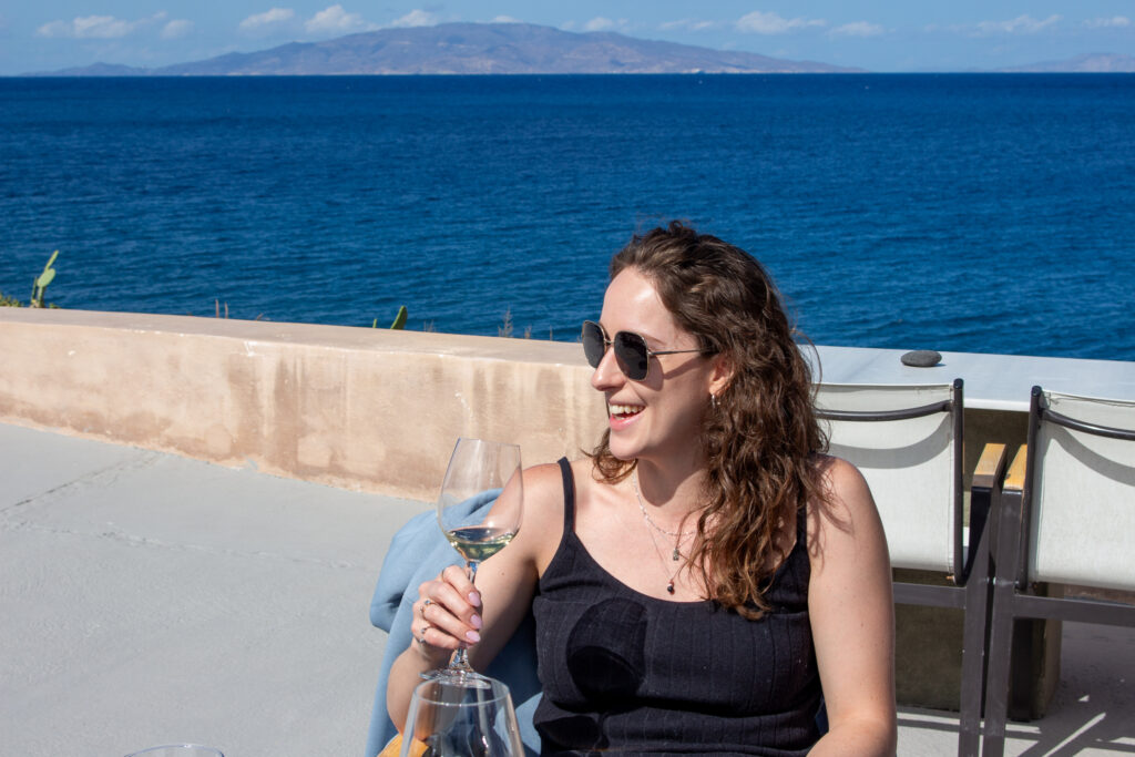 Wine Tasting with a view at OENOP