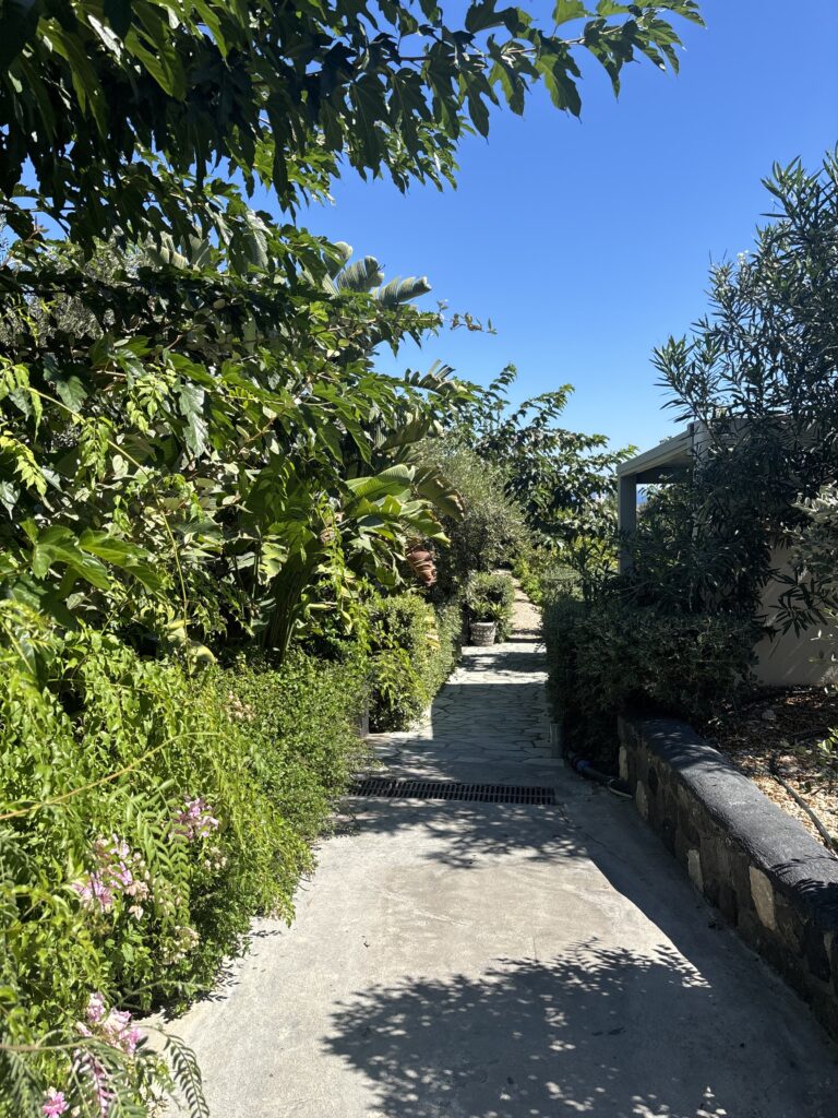 WINERY VISIT IN SANTORINI